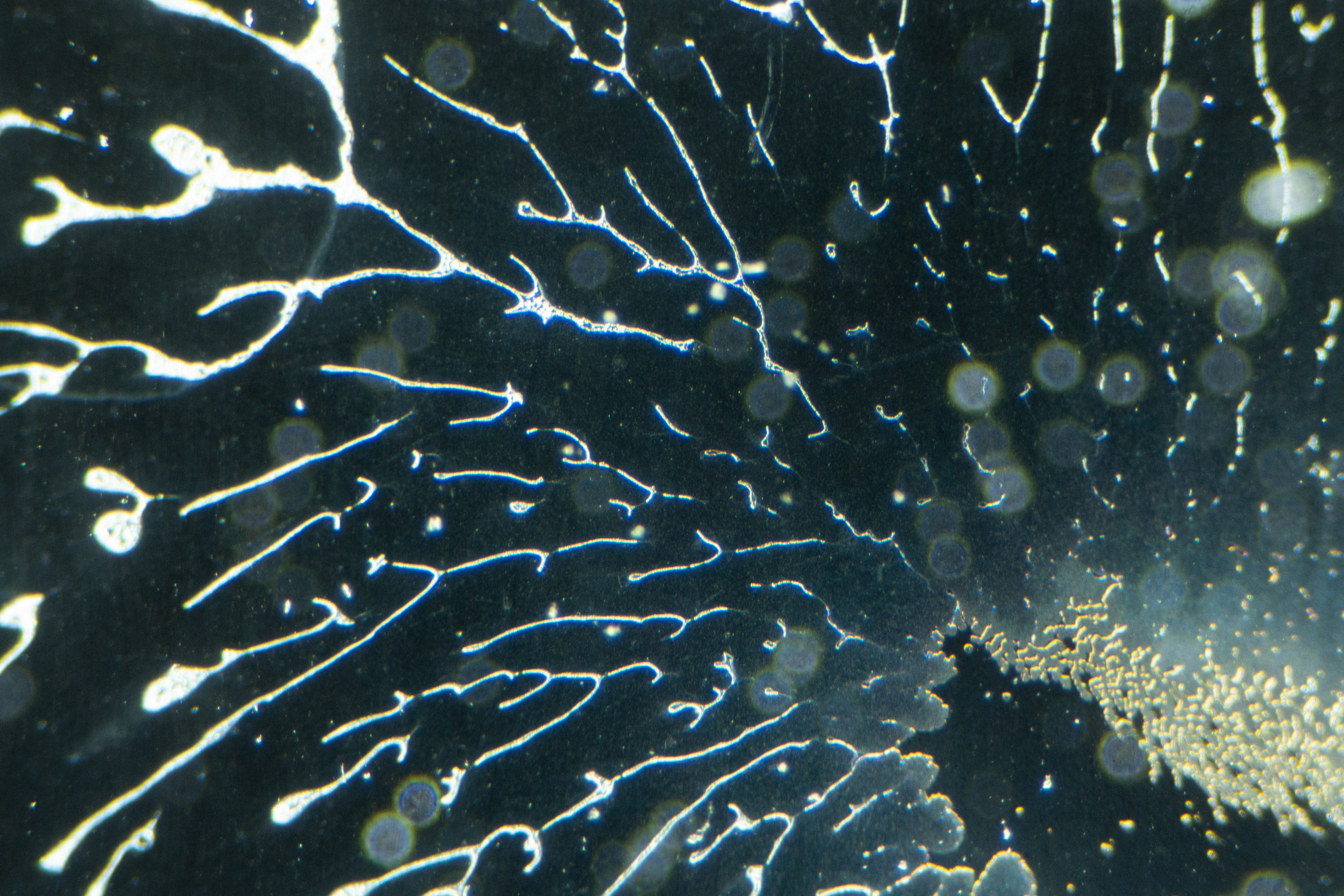 A collage of scientific data, materials, and designs.